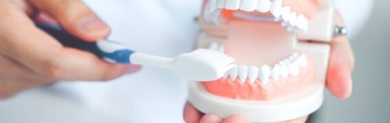 How Often Should You Replace Your Toothbrush?